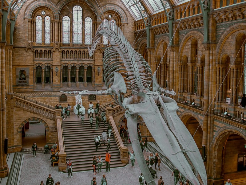 when dinosaurs roamed antarctica