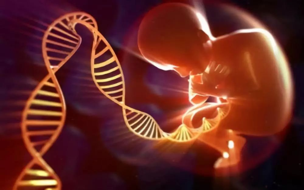 练习| CNN新闻：世界首例基因编辑婴儿在中国出生